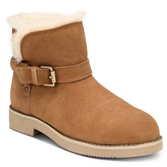Style & Co. Shoes - Women's Style And CO Suede Ankle Boots